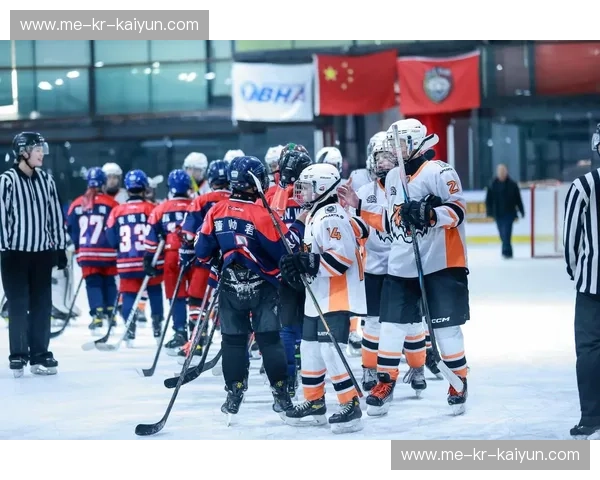 冰球赛季观察：激情与策略碰撞的冬日盛宴